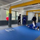 아트 주짓수 레슬링 이미지