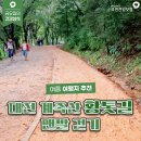 여름 여행지 추천 - 대전 계족산 황톳길 맨발 걷기 이미지