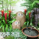 어람초등학교(병설) 이미지