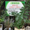 새보건약국 이미지