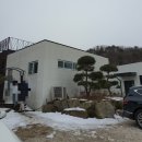 포레스트G2