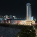 프로젝트엘비스