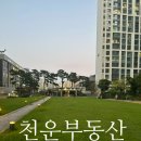 천운부동산공인중개사사무소 이미지