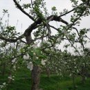 동산농원 이미지