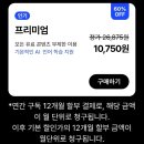 회원청구_8개월_1.6 | 스픽 Speek... 가입할 때 알고 가입하세요.