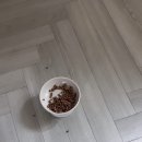 여주-0407 네이버블로그