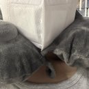 223 | 인천 카이로 상하이 경유 중국동방항공 후기 MU223 비행시간 기내식