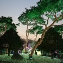 별빛마을리조트 이미지