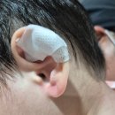 지인성형외과의원 이미지