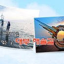 4월20일(토)안산 시티투어 탄도누에섬-대부도해솔길/마감 이미지