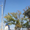 동탄 수질복원센터 축구장 이미지