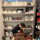 케이라인스포츠