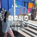 휘닉스파크 아이와 갈만한곳 카페 마추픽추 알파카 먹이체험 후기