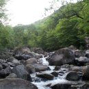 월평주공1단지 이미지