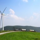 관동목장2 이미지