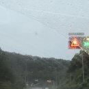 허그요양병원 | 자궁경부암 추적검사 일기 3탄 / 서울성모병원 CIN3 자궁경부 제자리암 원추절제술 후기