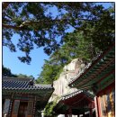 공민왕길 이미지