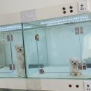 THE DOG SALON 이미지