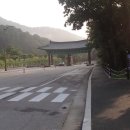 무릉계곡 관리동 이미지