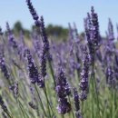 향스토리 이미지