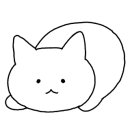 울산 강일웅고양이메디컬센터 이미지