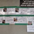 3799 | 포항 맛집 고기에 진심인 식당을 찾으신다면 포항소금구이 먹빵후기