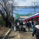 장전유원지 공중화장실 | 2026년 양산 원동 미나리축제 맛집 4번집 재방문 후기
