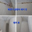 입주청소 네이버블로그
