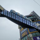[내돈내산] 홍희딸기 솔직 후기! (인천 모래네시장 과일 구매)