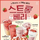 더치앤빈 데일리그리드