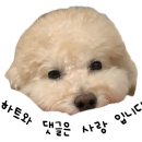 모노맨션용리단길점