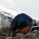 수옥경로당 이미지