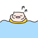칼리가리박사의밀실거북섬점 네이버블로그