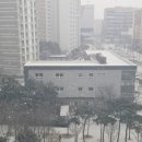 오늘도한우춘천