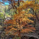 둔기마을 이미지