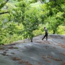 공주농장 이미지