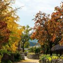 일박이일 B 이미지