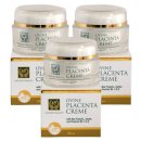 포켓애니멀 이미지