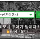 일등여행사 - 창원시 마산합포구 해안대로 11 | 일등여행사