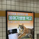 수목원맛쌈밥 | 33년 만에 열린 홍릉숲 직접 다녀왔어요🌳 대한민국 100대 명품숲 / 도심 한복판에서 숲멍 가능