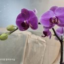 연세매디칼내과의원 네이버블로그