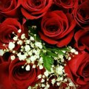 서후리 산촌생태마을 | 재경거창중앙고 30회 25년11월 가을소풍 산막이옛길 후기