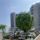 만정농장 | 인천 영종도 새우구이 맛집 서해수산 후기