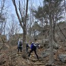 영남알프스 운문산&amp;가지산 연계산행(25.3.1.토요일) 이미지