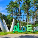 알로에테마파크 이미지