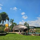 더사우나(The sauna) 이미지