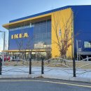 부산애견 | 이케아 동부산점 애견동반 후기(+주차 )