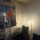 분당-30 | VOO STUDIO 분당보컬트레이닝 후기ㅣ30대 되니까 노래만 부르면 삑사리나는 여.자.가.되