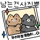 구공디