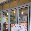 멍냥의숲
